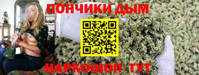 дурь Можга