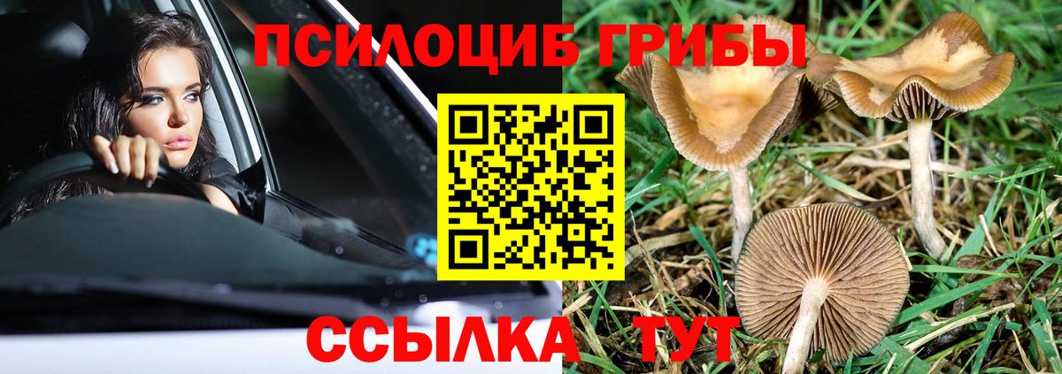 Барнаул  Псилоцибиновые грибы Cubensis  Вход с VPN  Галлюциногенные грибы Magic Shrooms 
